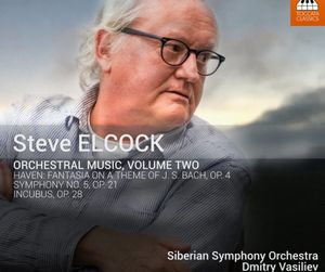Orchestral Music, Volume Two